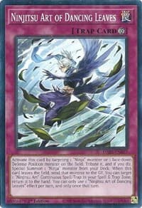 Ninjitsu Art of Dancing Leaves: Darkwing Blast