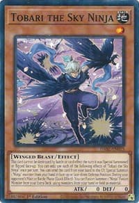 Tobari the Sky Ninja: Darkwing Blast