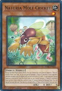 Naturia Mole Cricket: Darkwing Blast