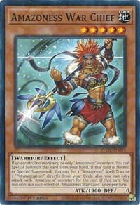 Amazoness War Chief: Darkwing Blast