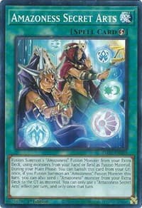 Amazoness Secret Arts: Darkwing Blast