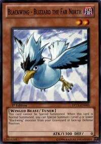 Blackwing - Blizzard the Far North: Duelist Pack 11: Crow