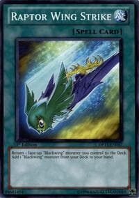 Raptor Wing Strike: Duelist Pack 11: Crow