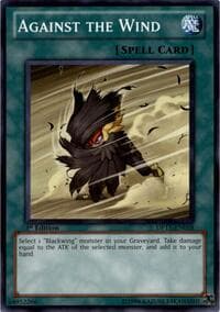 Against the Wind: Duelist Pack 11: Crow