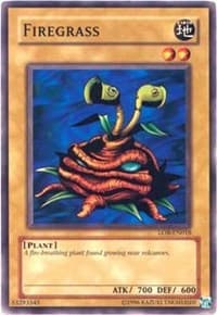 Firegrass: Legend of Blue Eyes White Dragon (Worldwide English)