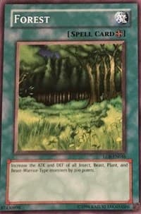 Forest: Legend of Blue Eyes White Dragon (Worldwide English)