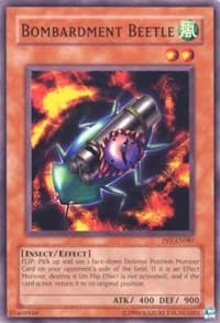 Bombardment Beetle: Pharaoh's Servant (Worldwide English)