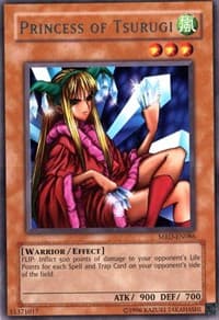 Princess of Tsurugi: Metal Raiders (Worldwide English)