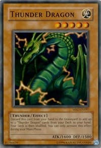Thunder Dragon: Metal Raiders (Worldwide English)