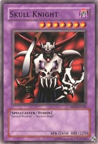 Skull Knight: Metal Raiders (Worldwide English)