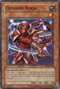 Crimson Ninja: Invasion of Chaos (Worldwide English)