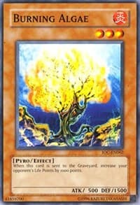 Burning Algae: Invasion of Chaos (Worldwide English)