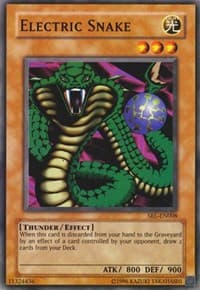 Electric Snake: Spell Ruler (Worldwide English)