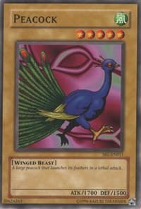 Peacock: Spell Ruler (Worldwide English)