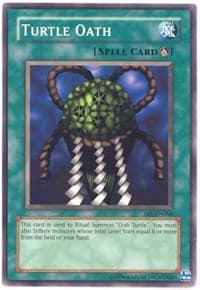 Turtle Oath: Spell Ruler (Worldwide English)