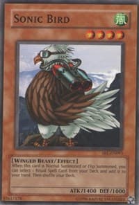 Sonic Bird: Spell Ruler (Worldwide English)