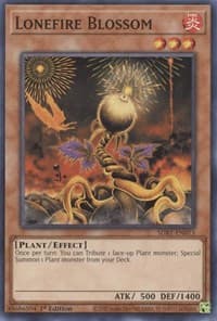 Lonefire Blossom: Structure Deck: Beware of Traptrix