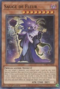 Sauge de Fleur: Structure Deck: Beware of Traptrix