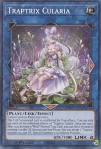 Traptrix Cularia: Structure Deck: Beware of Traptrix