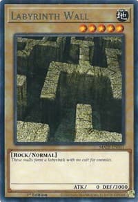 Labyrinth Wall: Maze of Memories