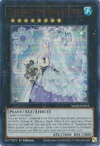 Teardrop the Rikka Queen: Maze of Memories