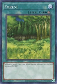 Forest: Legend of Blue Eyes White Dragon (25th Anniversary Edition)