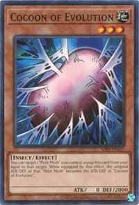 Cocoon of Evolution: Metal Raiders (25th Anniversary Edition)