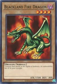 Blackland Fire Dragon: Metal Raiders (25th Anniversary Edition)