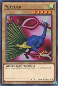 Peacock: Spell Ruler (25th Anniversary Edition)