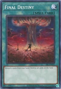 Final Destiny: Spell Ruler (25th Anniversary Edition)