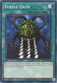 Turtle Oath: Spell Ruler (25th Anniversary Edition)