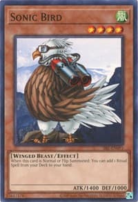 Sonic Bird: Spell Ruler (25th Anniversary Edition)