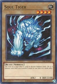 Soul Tiger: Invasion of Chaos (25th Anniversary Edition)