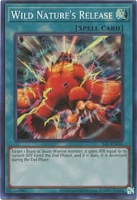 Wild Nature's Release: Invasion of Chaos (25th Anniversary Edition)