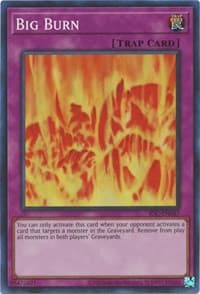 Big Burn: Invasion of Chaos (25th Anniversary Edition)