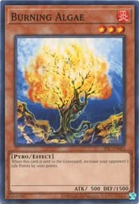 Burning Algae: Invasion of Chaos (25th Anniversary Edition)