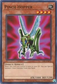 Pinch Hopper: Invasion of Chaos (25th Anniversary Edition)