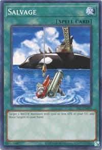 Salvage: Invasion of Chaos (25th Anniversary Edition)