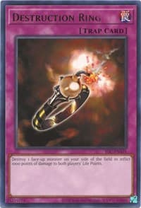 Destruction Ring: Invasion of Chaos (25th Anniversary Edition)