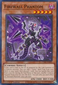 Firewall Phantom: Cyberstorm Access