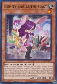 Bunny Ear Enthusiast: Cyberstorm Access