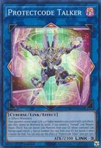 Protectcode Talker: Cyberstorm Access