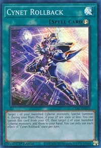 Cynet Rollback: Cyberstorm Access