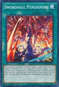 Swordsoul Punishment: Cyberstorm Access