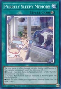 Purrely Sleepy Memory: Cyberstorm Access