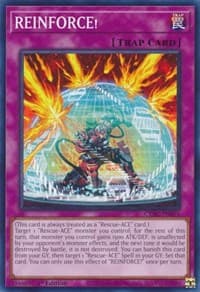 REINFORCE!: Cyberstorm Access