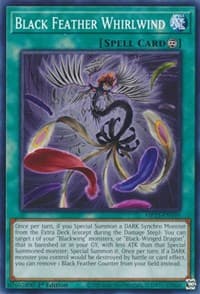 Black Feather Whirlwind: 25th Anniversary Tin: Dueling Heroes Mega Pack