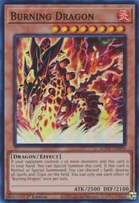 Burning Dragon: Age of Overlord