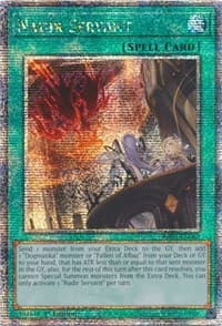 Nadir Servant (Quarter Century Secret Rare): 25th Anniversary Rarity Collection