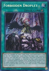 Forbidden Droplet (Secret Rare): 25th Anniversary Rarity Collection